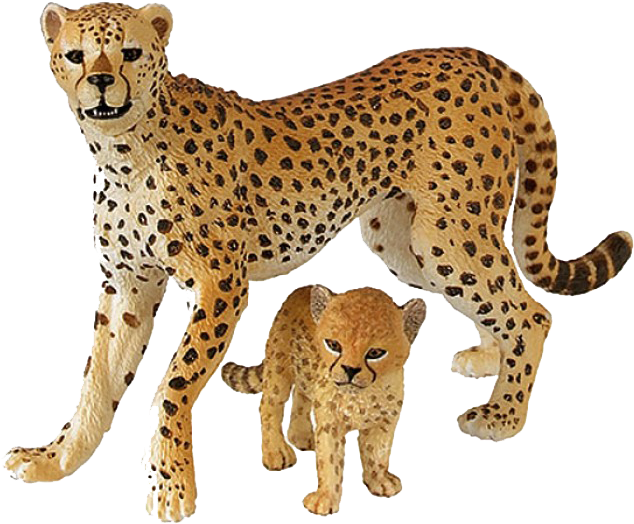 Cheetah Png Free Download - Cheetah .png (700x700), Png Download