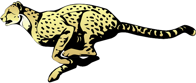 Cheetah Transparent Png - Cheetah Clipart With Transparent Background (640x320), Png Download