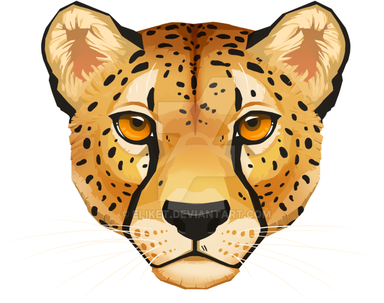 Cheetah Face Png (800x800), Png Download