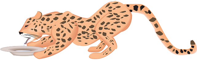 Water, Dish, Drinking, Cheetah, Art, Animal, Spots - Animal Drinking Water Png (640x320), Png Download