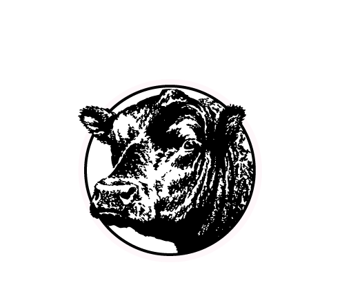 A Rich Heritage And Legacy Of Hard Work And Determination - Angus Bull Head (522x468), Png Download