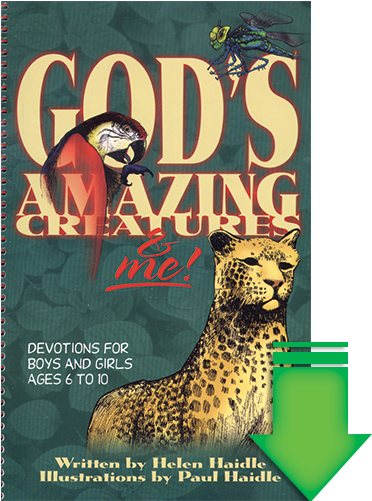 God's Amazing Creatures And Me Ebook - Portable Network Graphics (500x500), Png Download
