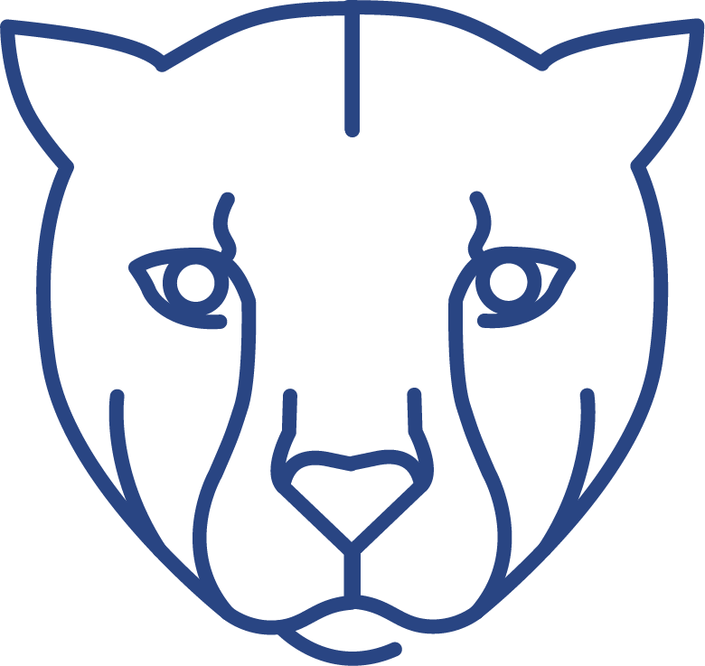 Cheetah Value (780x737), Png Download