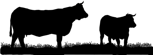 France, Normandy, Cow Meat, Texture - พื้น หลัง วัว เนื้อ (635x340), Png Download