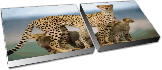 Applications - African Leopard (550x238), Png Download