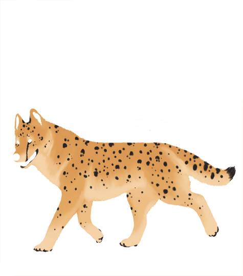 Cheetah (475x538), Png Download