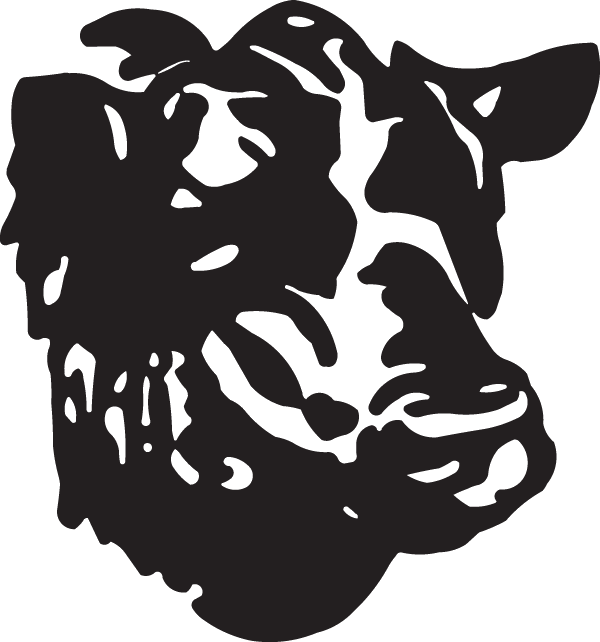 Illustration (600x642), Png Download