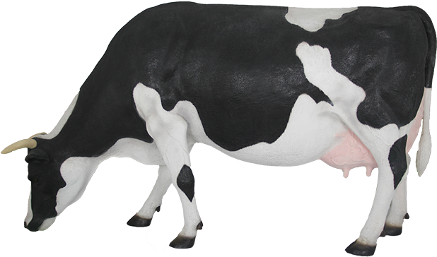 Cattle (640x640), Png Download