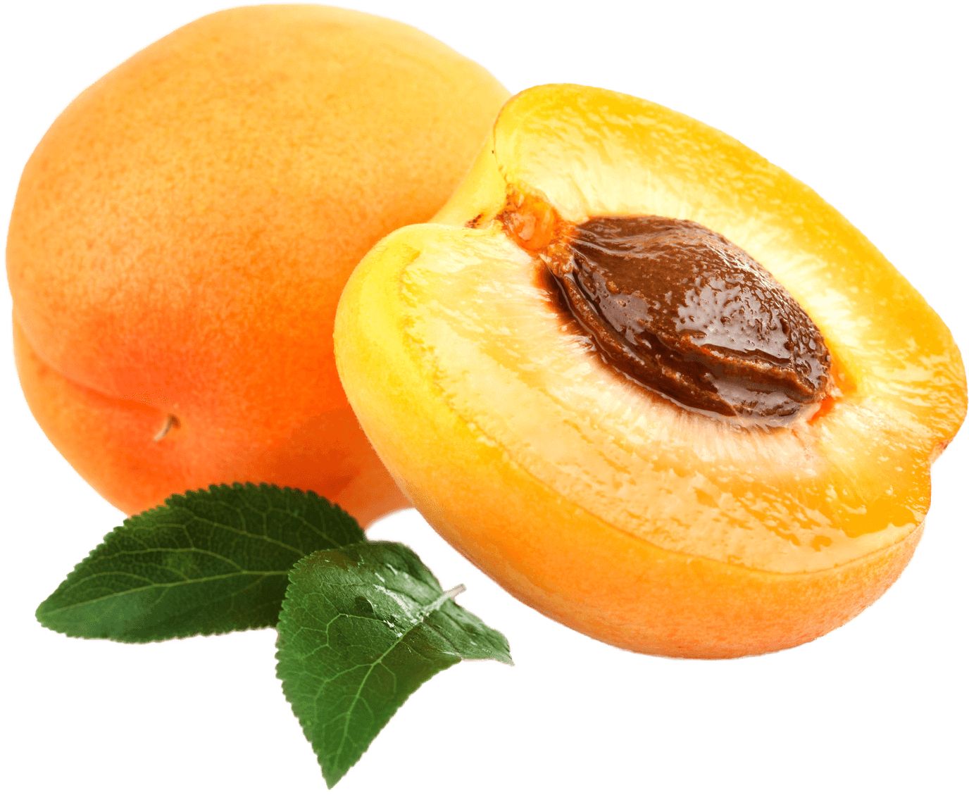 Apricot Open - Apricot Png (1600x1272), Png Download