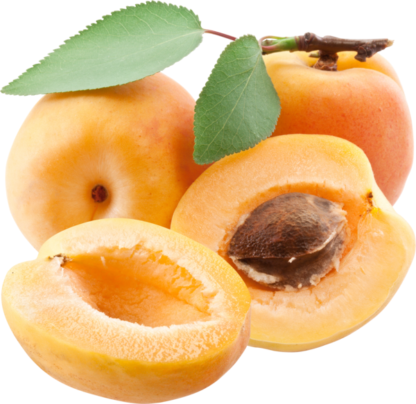 Apricots Png (600x583), Png Download