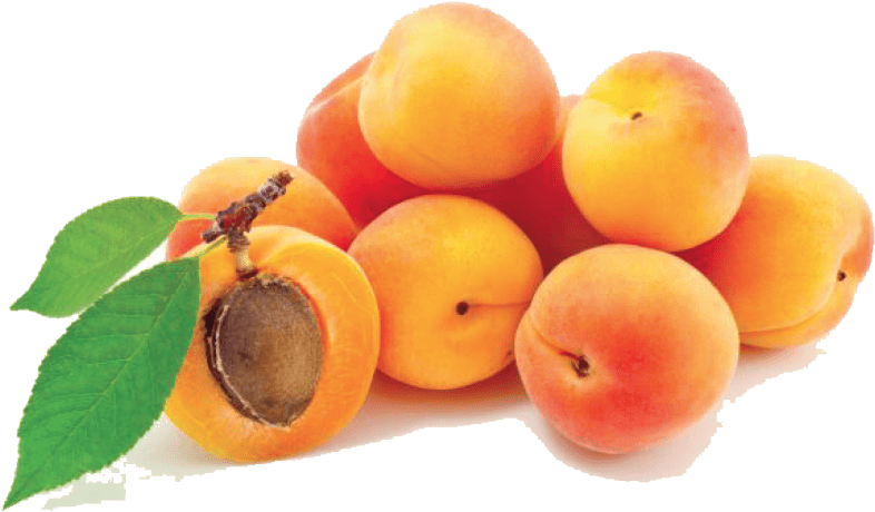Free Png Apricot Png Images Transparent - Apricot Png (850x595), Png Download