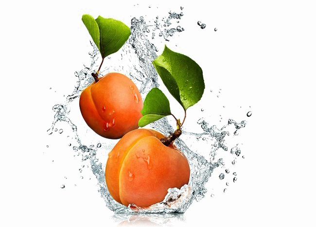 Apricot Png Image Background - Armenian Plum (650x466), Png Download