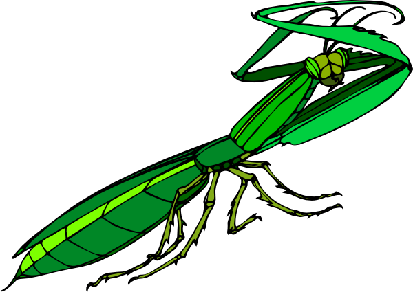 How To Set Use Cartoon Praying Mantis Icon Png (600x425), Png Download