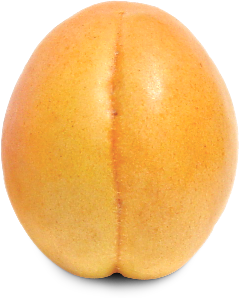Download Ripe Apricot Fruit Png Image - Nectarine (500x599), Png Download