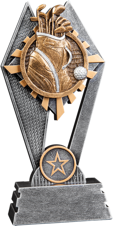 Larger Photo - Award (800x800), Png Download