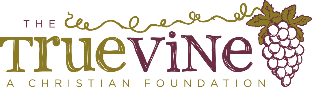 True Vine Foundation Logo - Time Spent Family Wall Box Sign - Pack (1080x303), Png Download