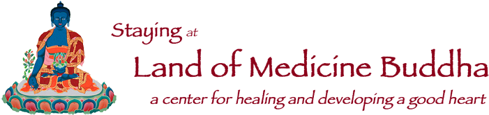 Staying At Land Of Medicine Buddha - Fishers Of Men (756x175), Png Download