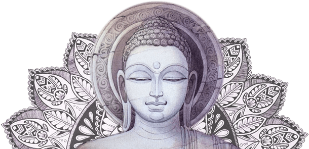 Zoom In Read More - The Daily (960x295), Png Download