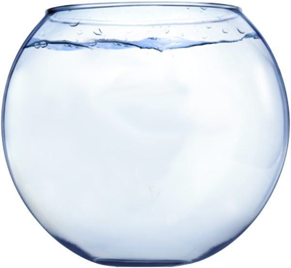Fish Out Of - Glass Fish Bowl Png (500x469), Png Download