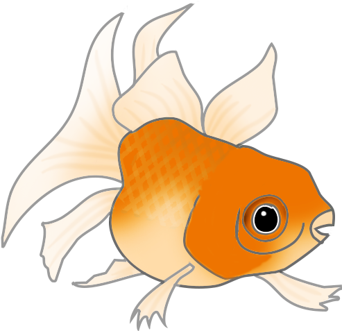 Orange Cat Fish - Fish Clipart (524x492), Png Download