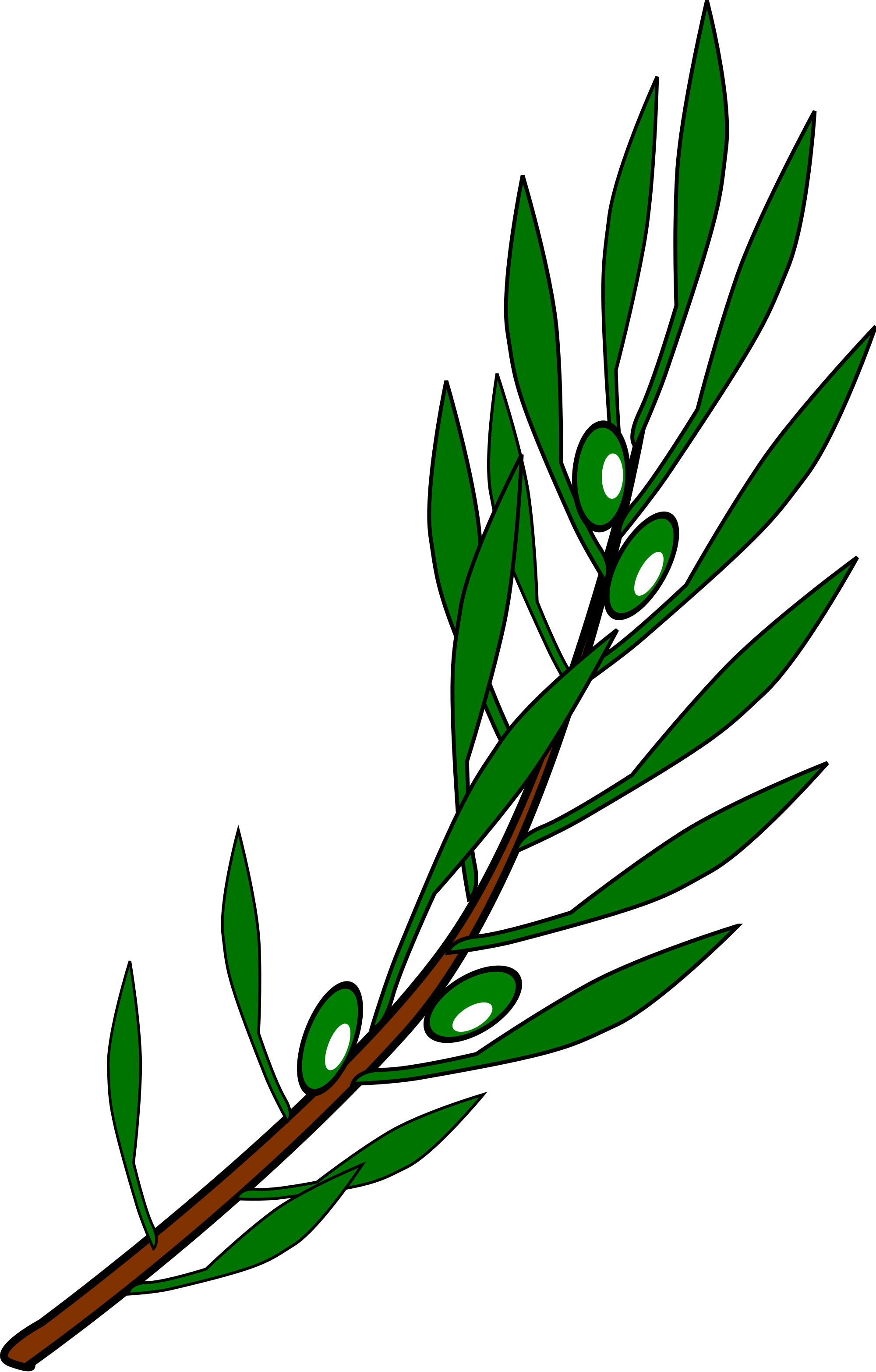 File - Olive Branch Png (2000x3130), Png Download