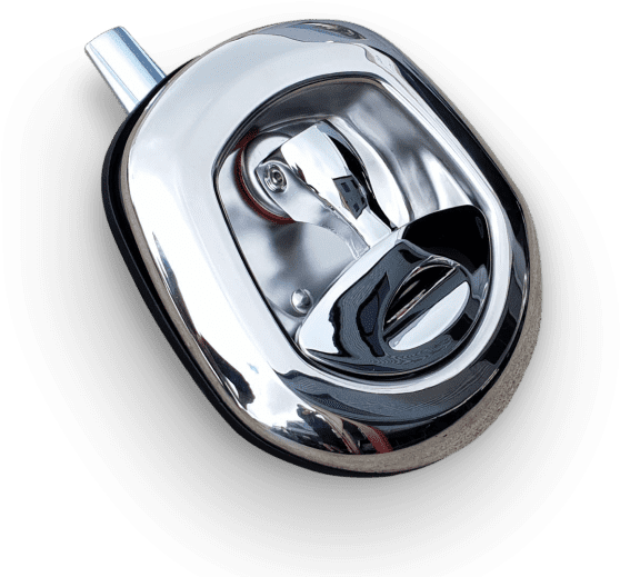 Whale T - Google Chrome (800x600), Png Download