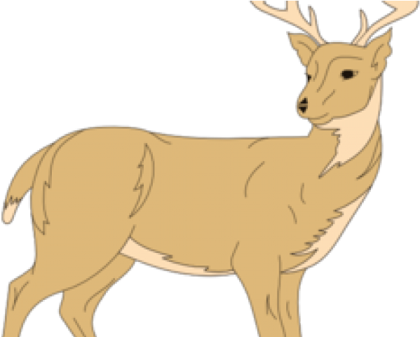 White Tailed Deer Clipart Rusa - Clip Art (640x480), Png Download