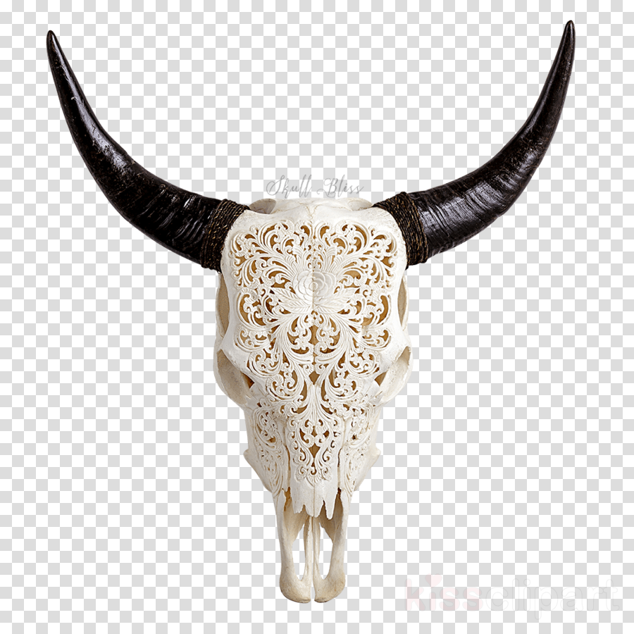 Cow Skull Png Clipart Texas Longhorn Skull - Carved Cow Skull (900x900), Png Download
