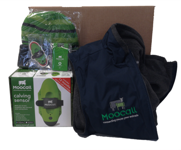 Moocall Christmas Box - Christmas Day (600x600), Png Download