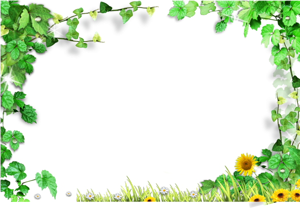 Template Green Leaves Frame - Green Leaves Background Free Png (591x591), Png Download