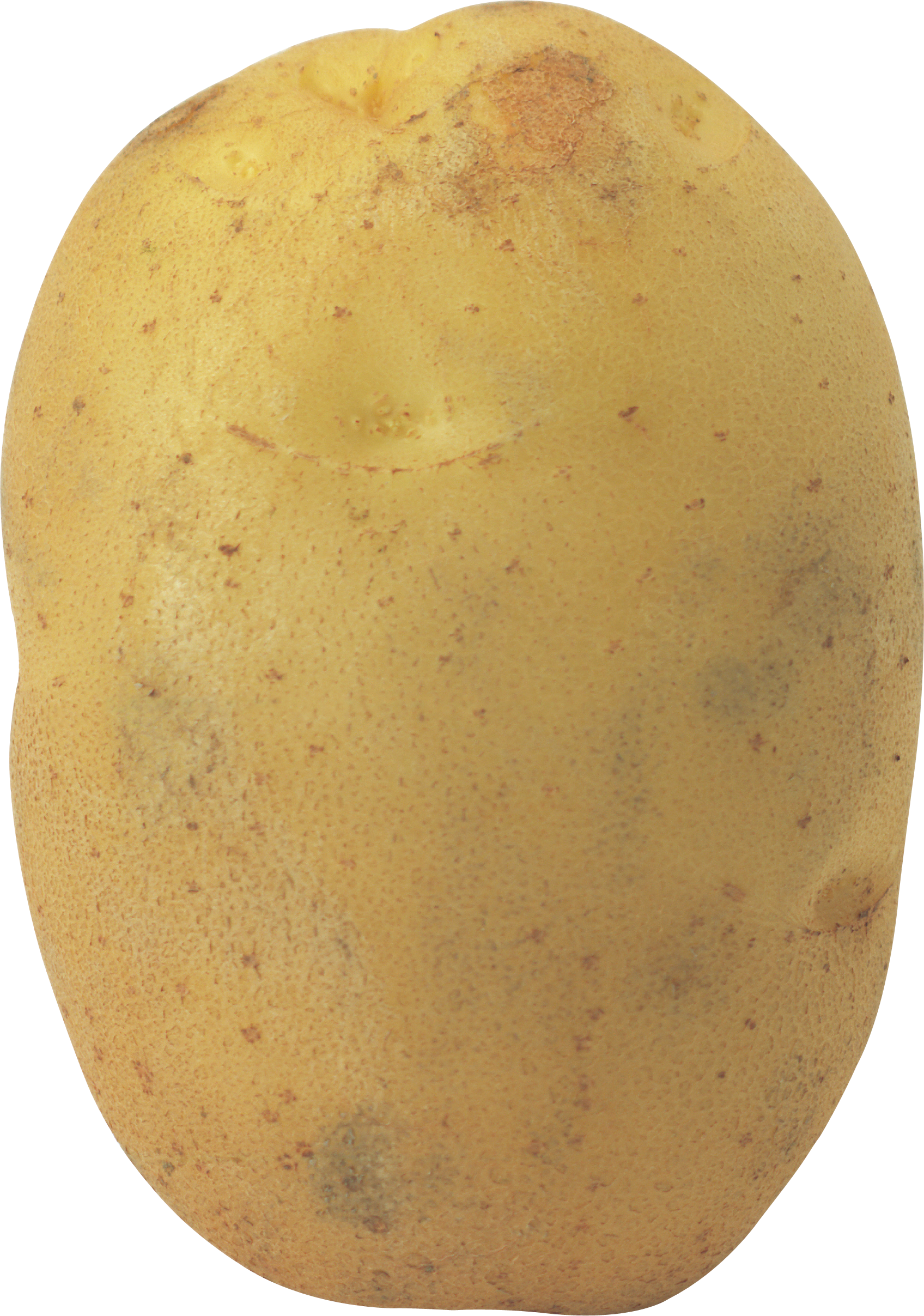 Potato - Potato Png (1696x2415), Png Download