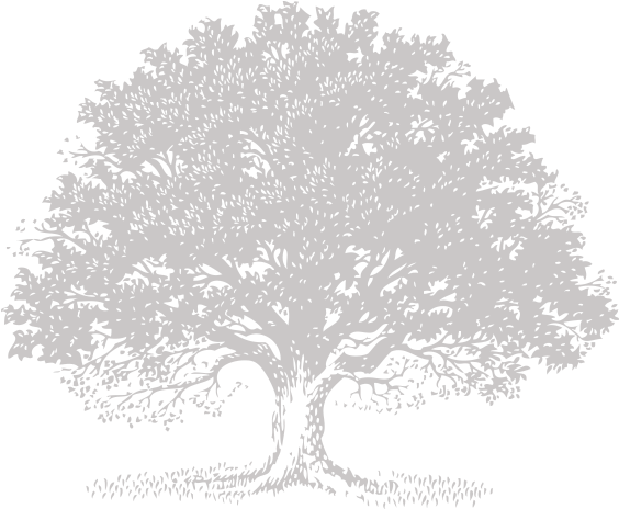 Live Svg Royalty Free Stock Techflourish Collections - Black Oak Tree Logo (861x600), Png Download