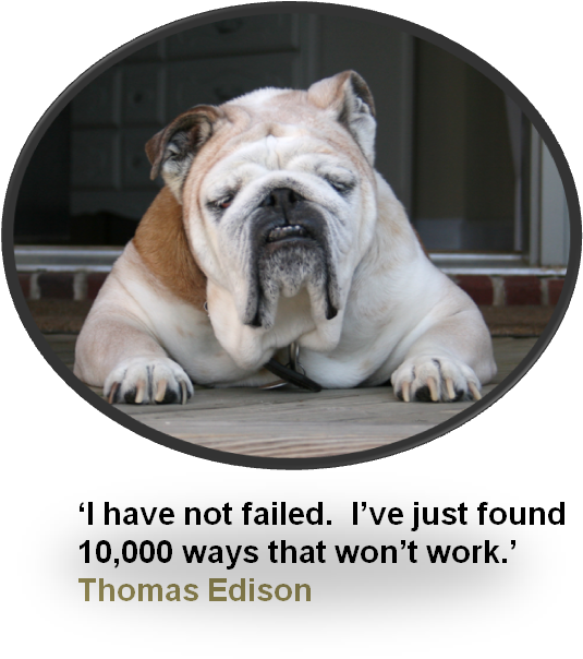 Yahoo Image Search Results Dog Sleeping Positions, - Happy Holidays Bulldog With Santa Hat Card (586x621), Png Download