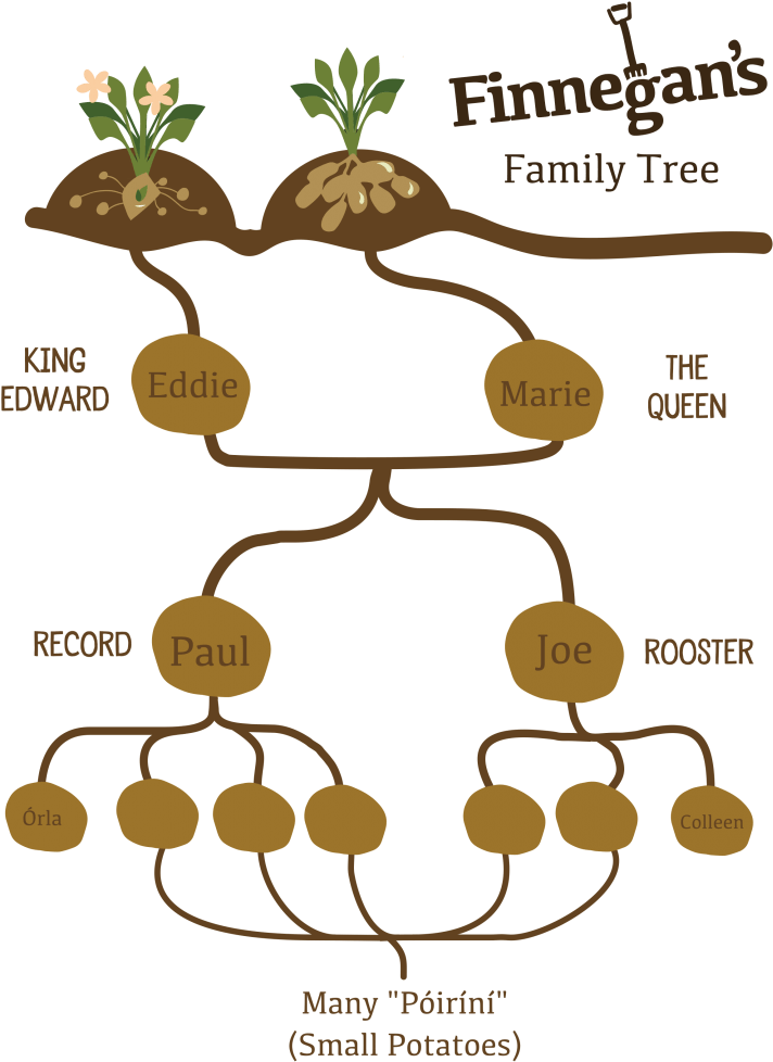 Download Finnegan's Today Full Size PNG Image PNGkit