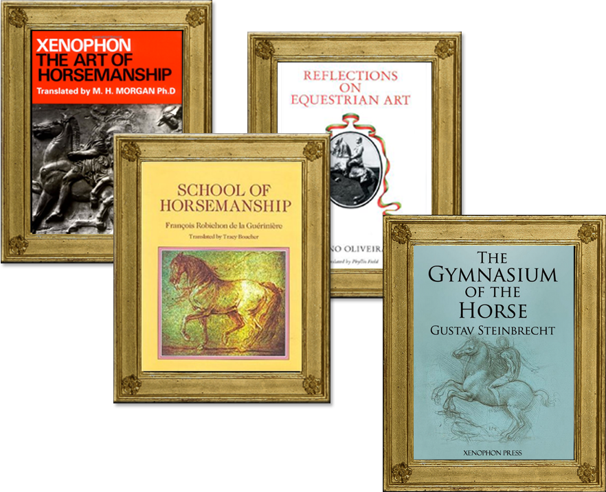 Offered In Partnership - School Of Horsemanship [book] (882x717), Png Download