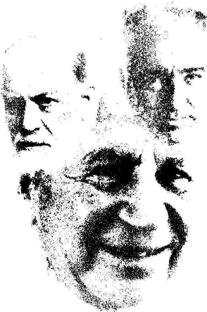 The Roots - Reichian Body-oriented Psychotherapy (700x1060), Png Download