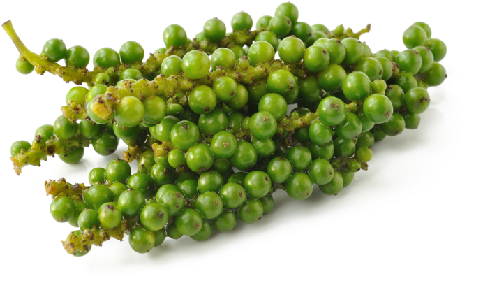 Green Pepper Pluspng - พริกไทย อ่อน (800x565), Png Download