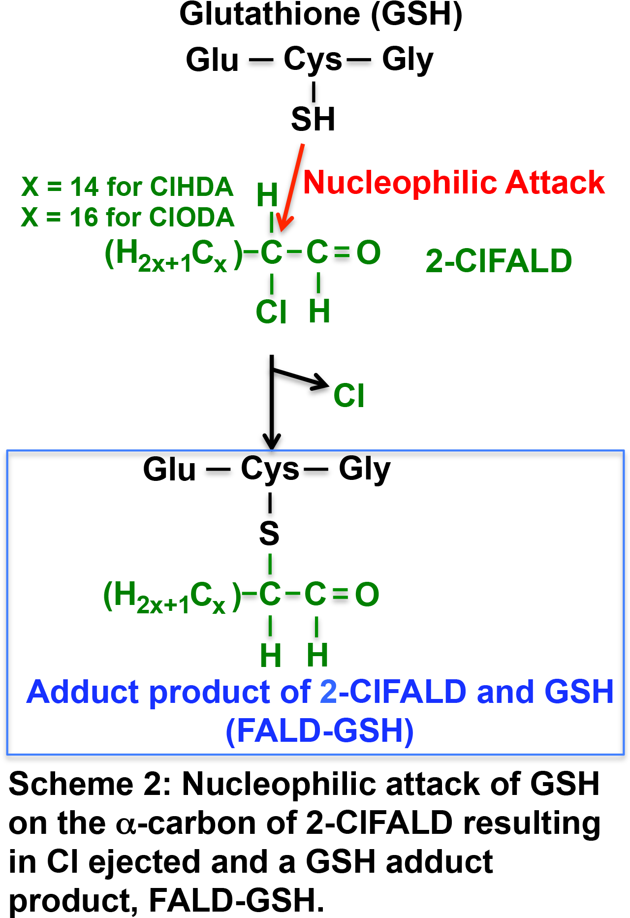 Congratulations To Mark Duerr And Elisa Palladino, - Ford Dental Lab (1353x1971), Png Download