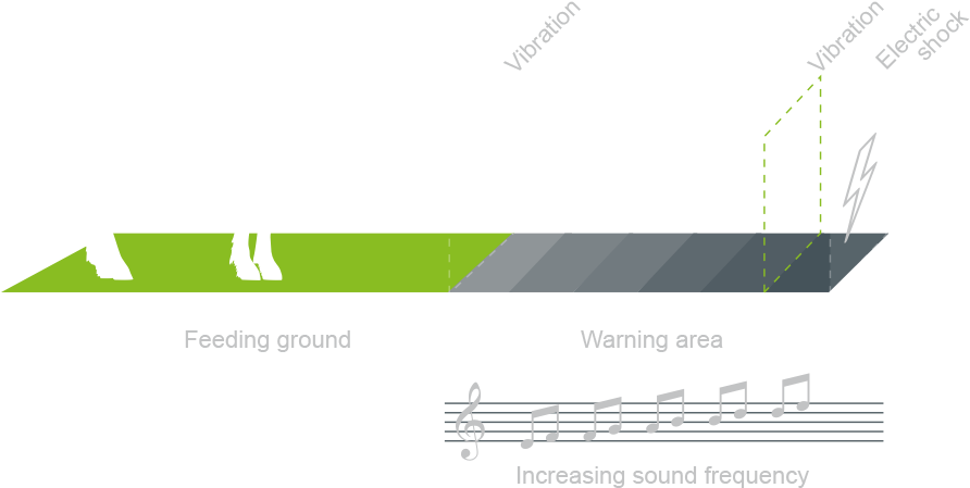 If The Increasing Sound Frequency And Vibrations Are - Diagram (1000x480), Png Download