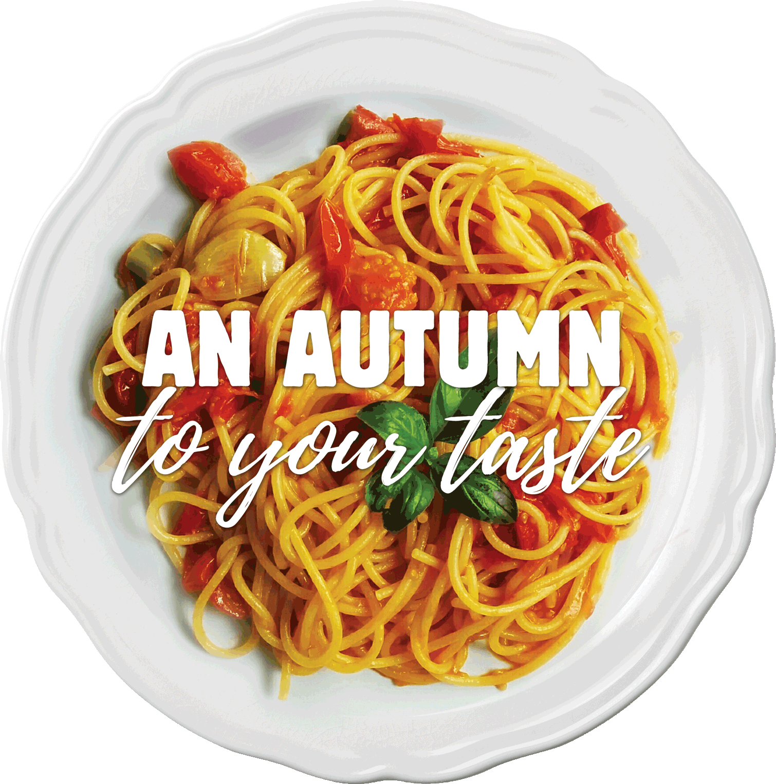 Fried Noodles (1510x1526), Png Download