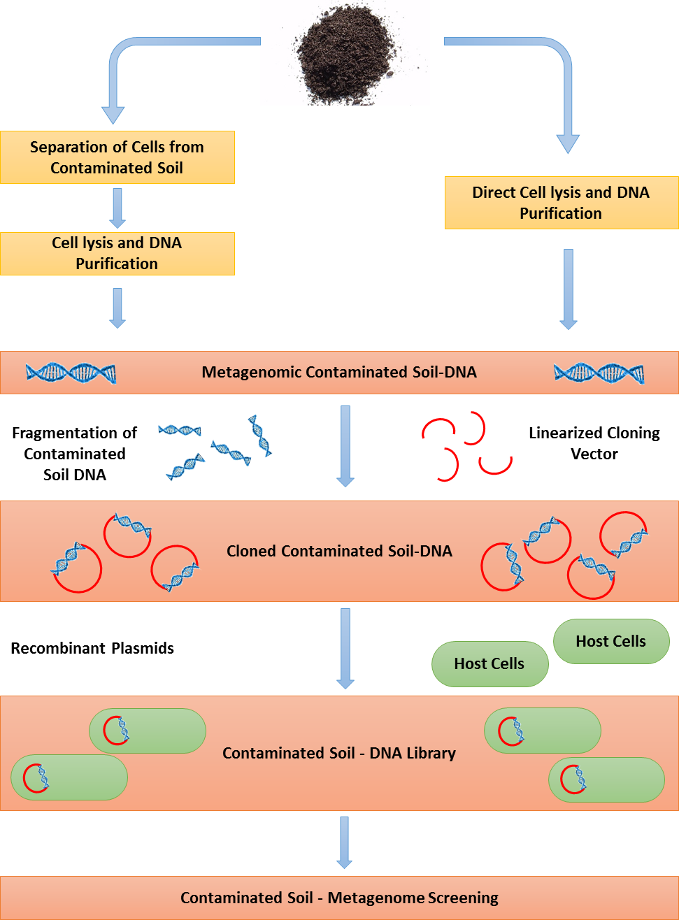 Figure 1 - - Metagenomics Review (971x1316), Png Download