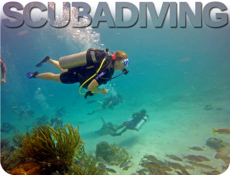 Come Discover Bliss Where Nature And Mysticism Blend (800x640), Png Download