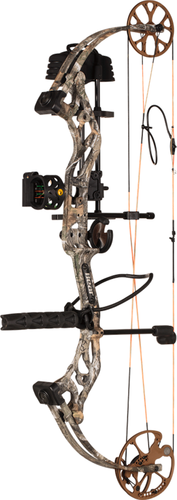 Bear Prowess (737x2078), Png Download