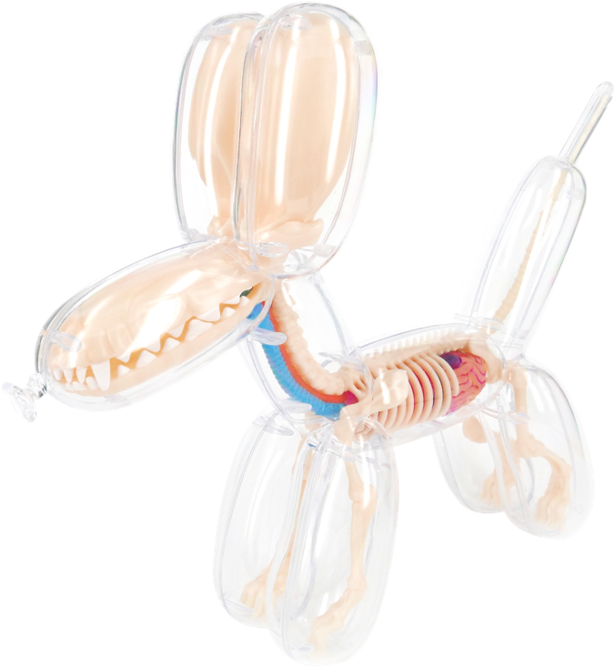4d Master Anatomy Balloon Dog 26090 (1000x1000), Png Download