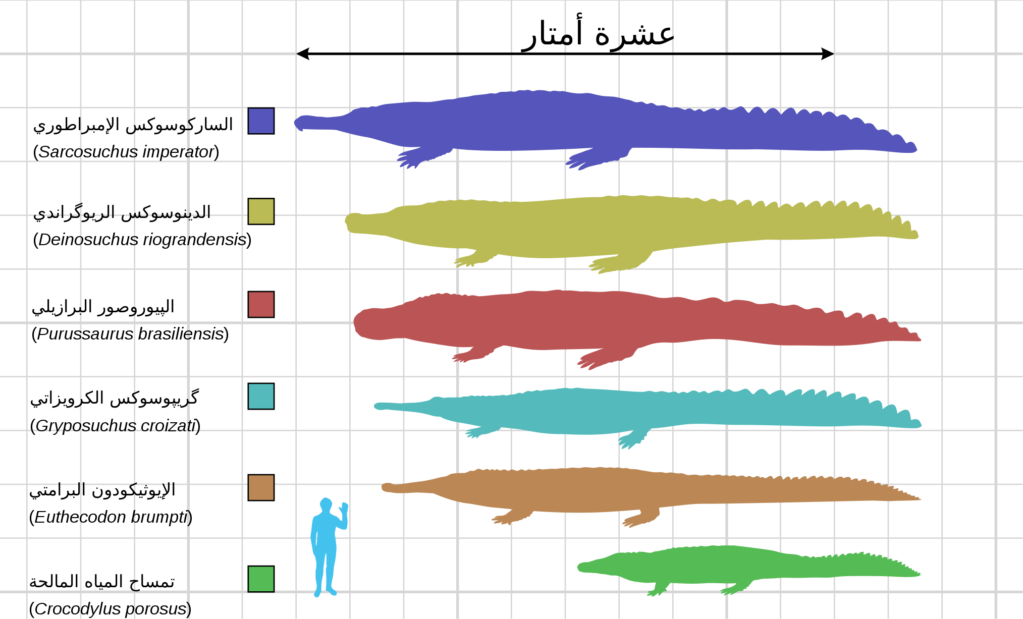 File - Large Crocodyliformes-ar - Svg (2027x1227), Png Download