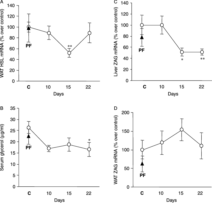 Download - Hormone-sensitive Lipase (731x698), Png Download