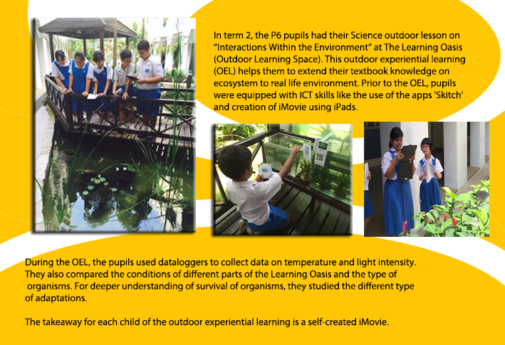 Outdoor Learning For P6 - Poster (709x485), Png Download