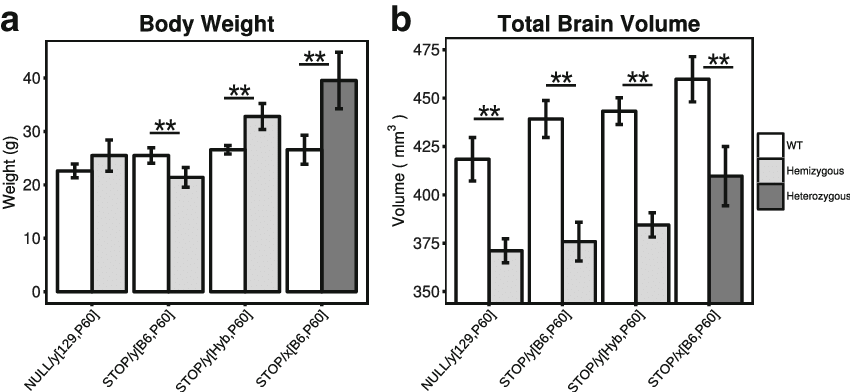 Loss Of A Functional Copy Of Mecp2 Leads To Drastic - Common Fig (850x392), Png Download