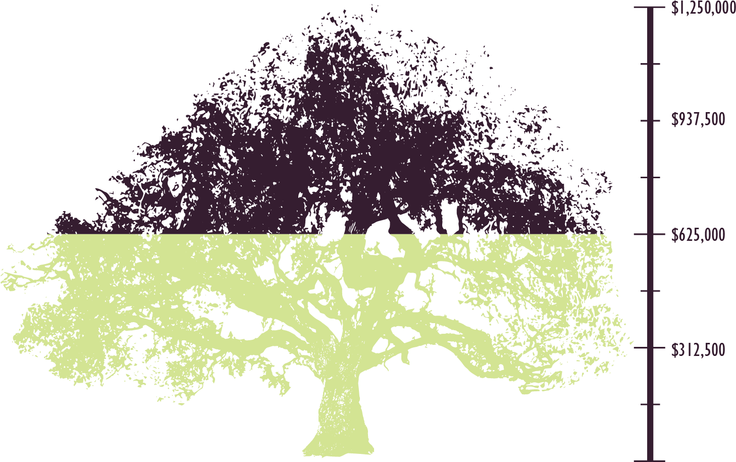 We Invite The Rancho Santa Ana Botanic Garden Community - Oak (1674x1090), Png Download