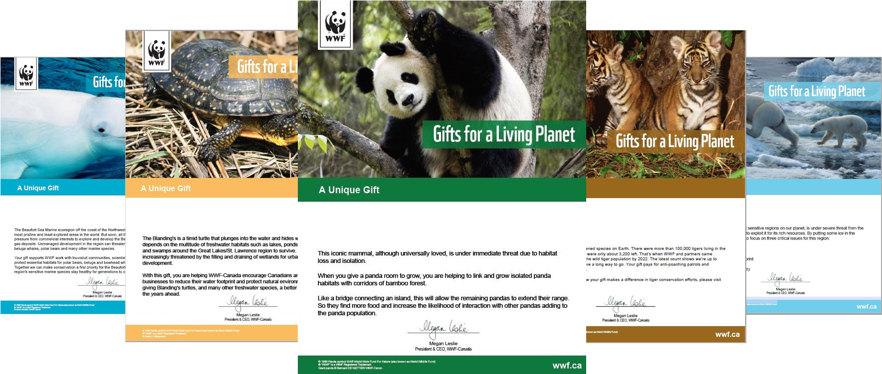 Cadeaux Virtuels - 1000 Piece Puzzle - Pandas (1908x900), Png Download